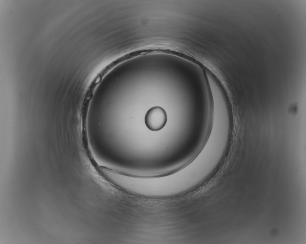 X0000110930936200906251330