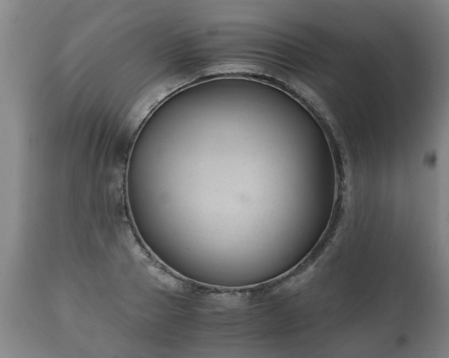 X0000110930937200906251330