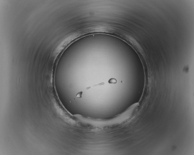X0000110930938200906251330
