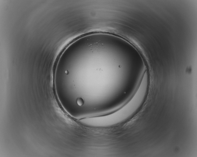 X0000110930940200906251330