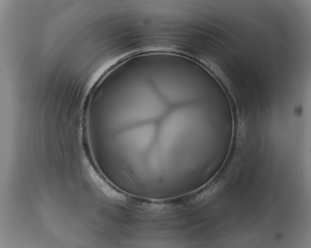 X0000110930941200906251330
