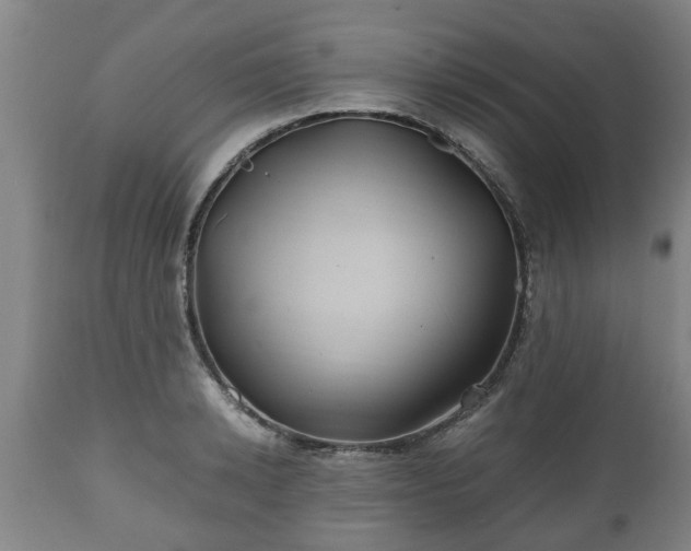X0000110930942200906251330