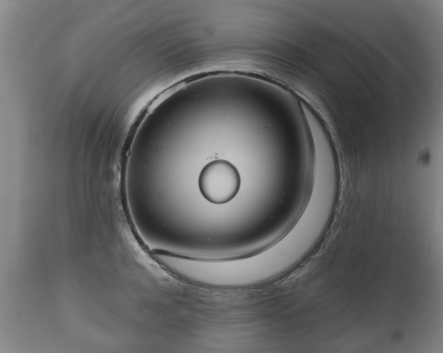 X0000110930944200906251330