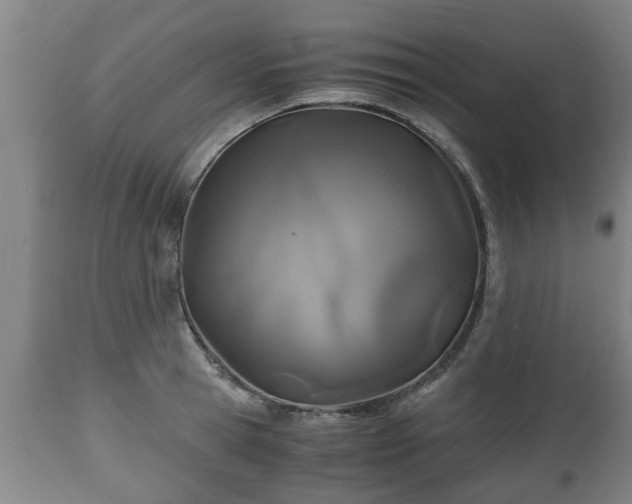 X0000110930945200906251330