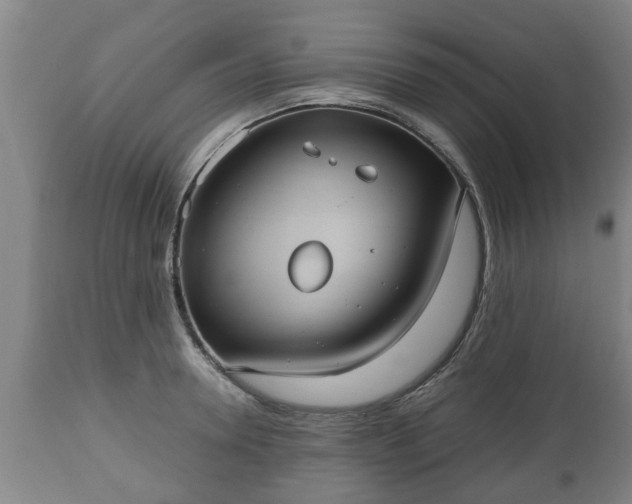 X0000110930946200906251330