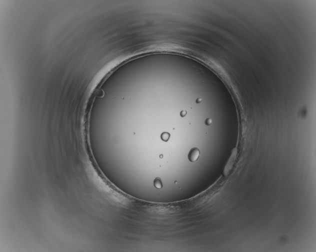 X0000110930947200906251330