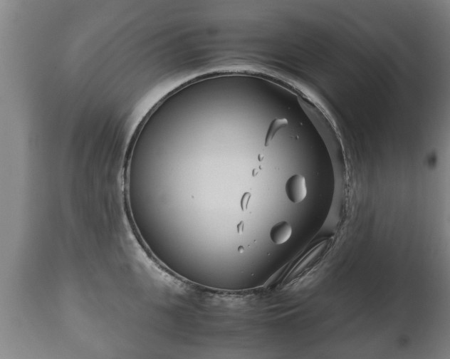 X0000110930951200906251330