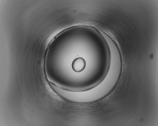 X0000110930952200906251330