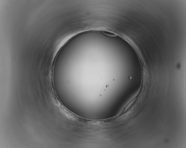 X0000110930956200906251330