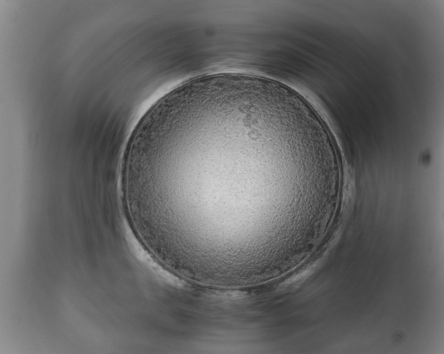 X0000110930957200906251330