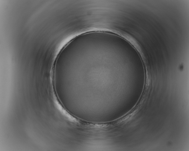 X0000110930958200906251330