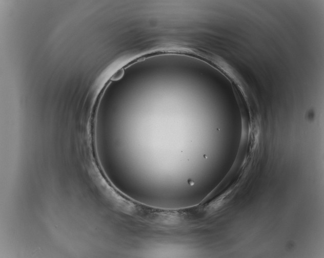 X0000110930959200906251330