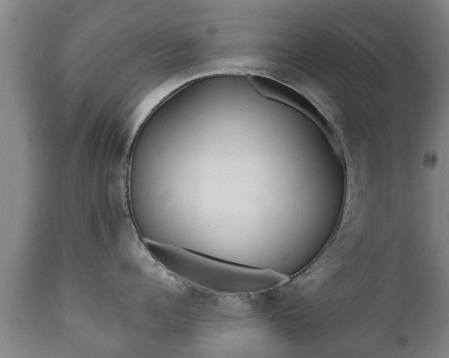 X0000110930960200906251330