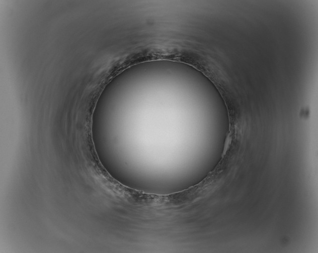 X0000110930961200906251329