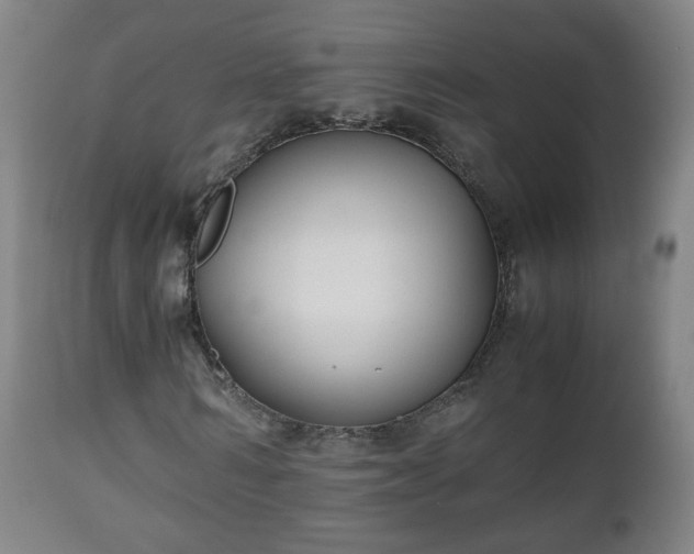 X0000110930962200906251329
