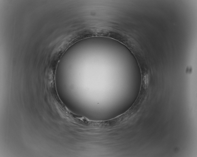 X0000110930963200906251329