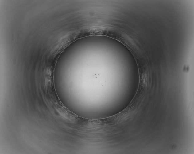 X0000110930964200906251329
