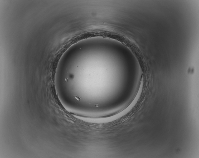 X0000110930965200906251329