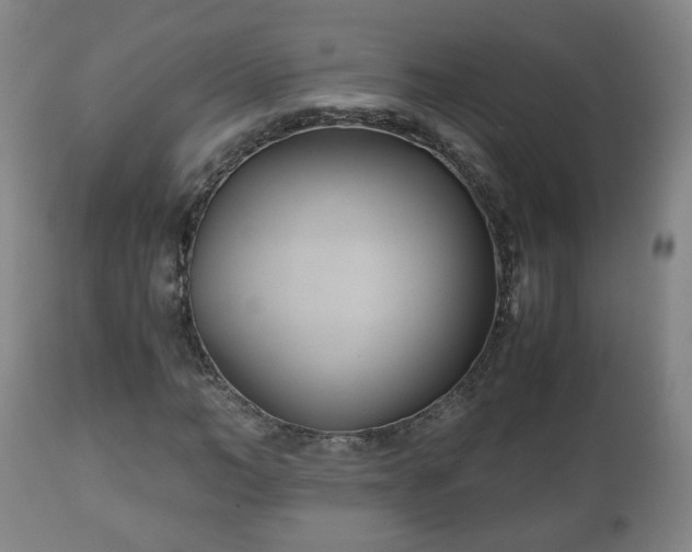 X0000110930966200906251329