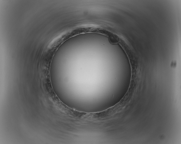 X0000110930967200906251329