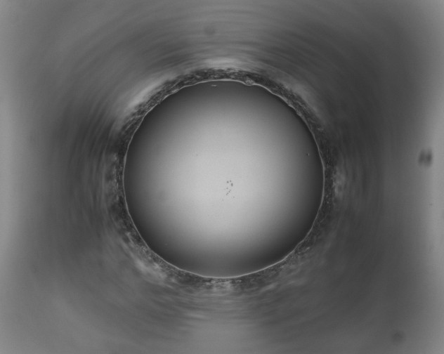 X0000110930968200906251329