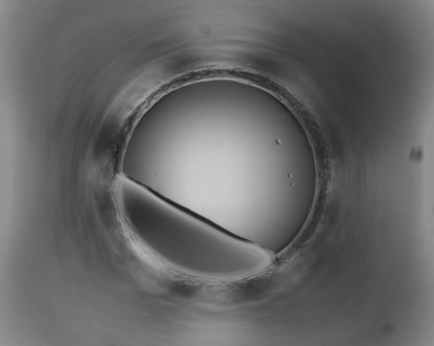 X0000110930969200906251329