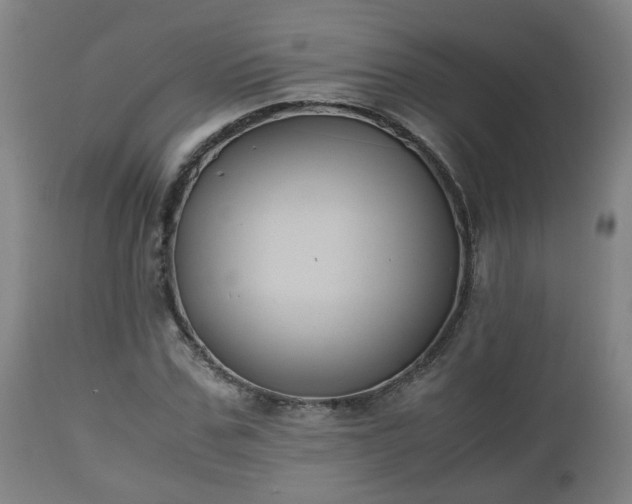 X0000110930971200906251329