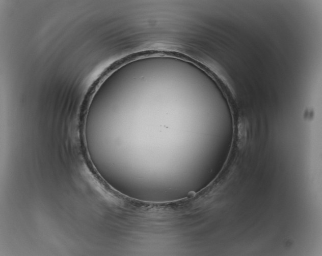 X0000110930972200906251329