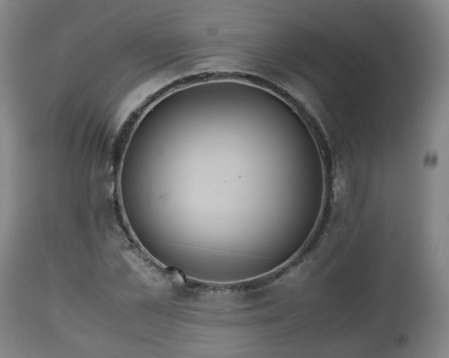 X0000110930973200906251329