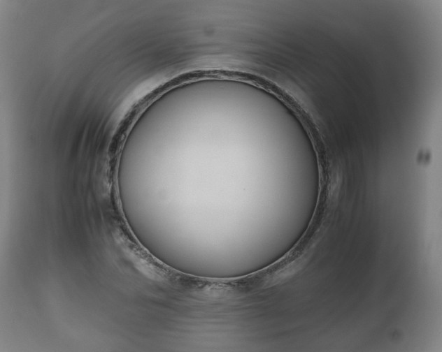X0000110930974200906251329
