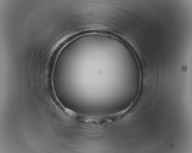 X0000110930975200906251329