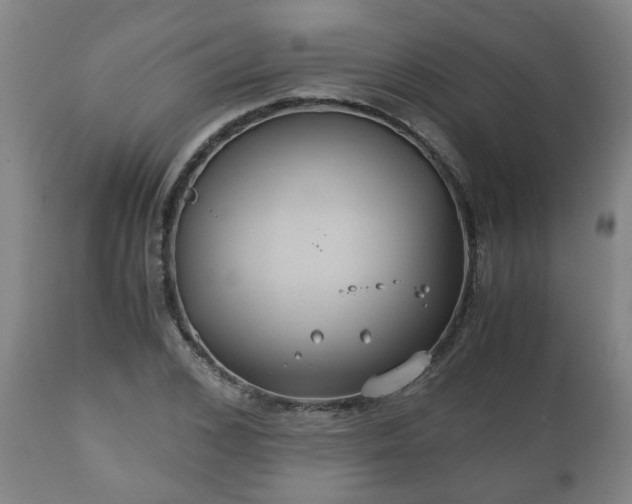 X0000110930976200906251329