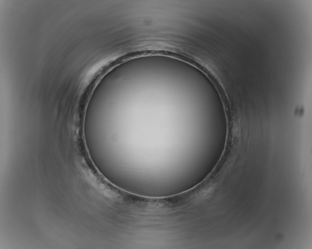 X0000110930979200906251329