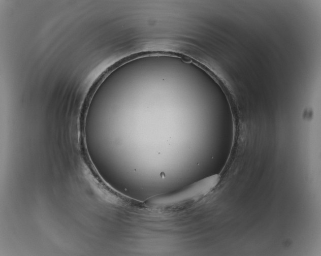 X0000110930980200906251329