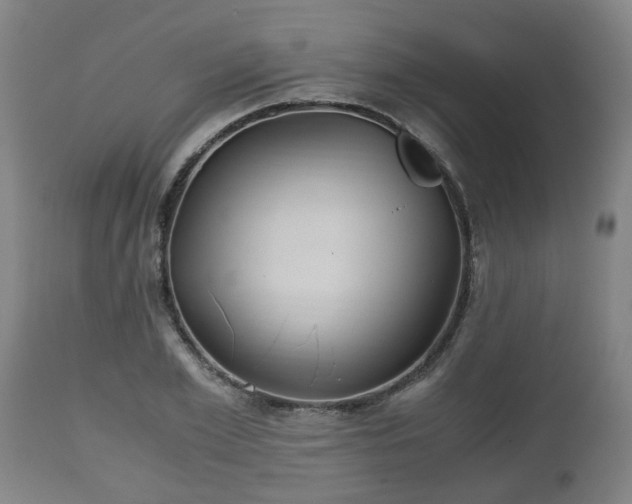 X0000110930981200906251329