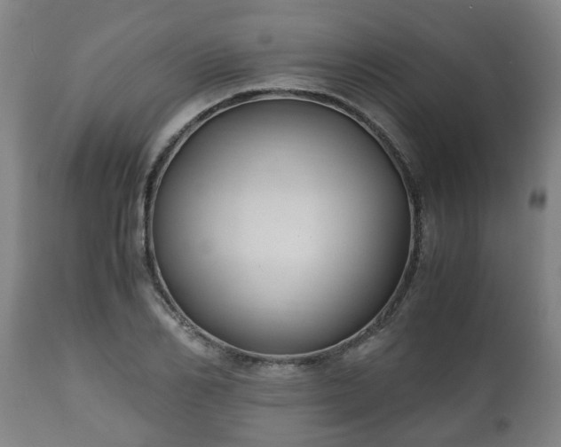 X0000110930982200906251329