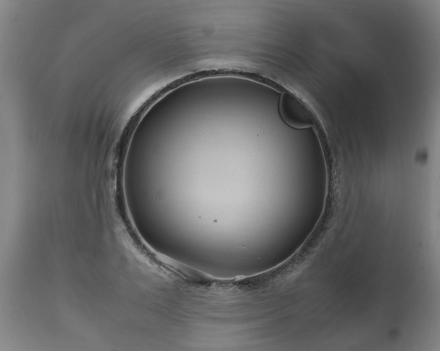 X0000110930983200906251329