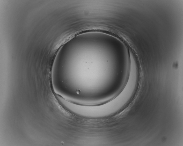 X0000110930985200906251329