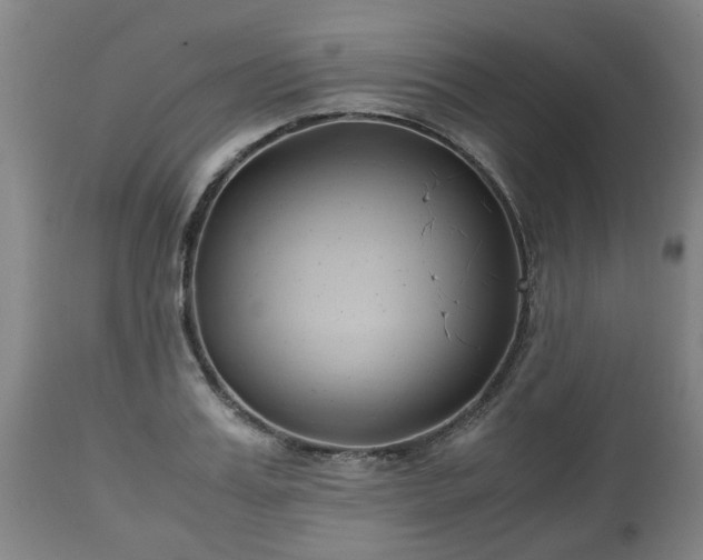 X0000110930987200906251329