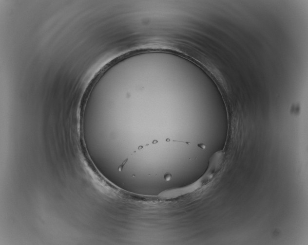X0000110930988200906251329