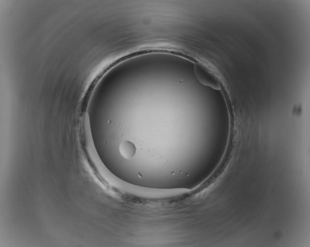 X0000110930989200906251329