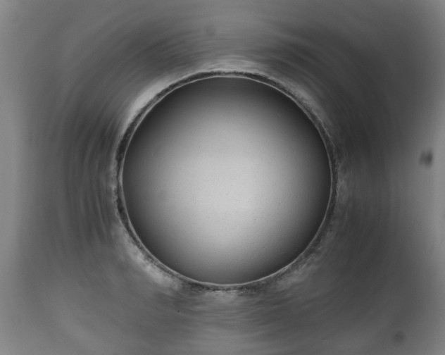 X0000110930990200906251329