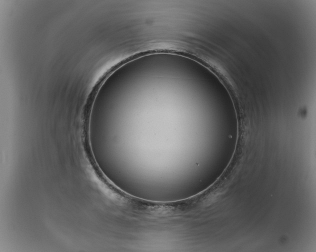 X0000110930991200906251329