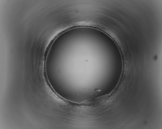 X0000110930992200906251329