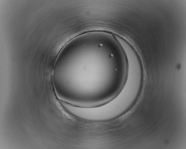 X0000110930993200906251329