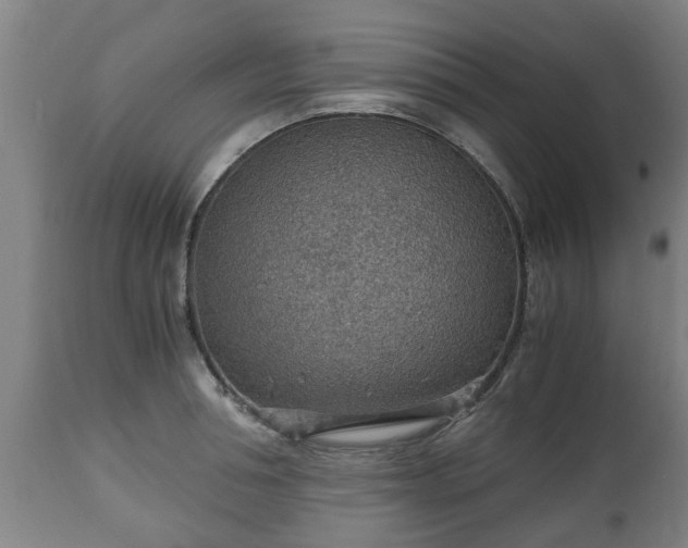 X0000110930994200906251329