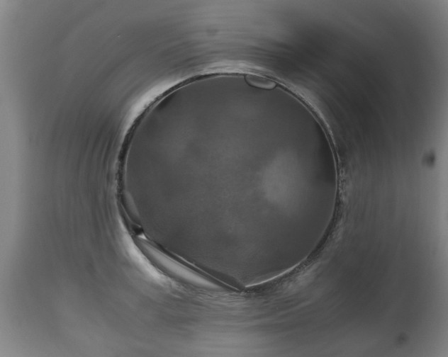 X0000110930995200906251329