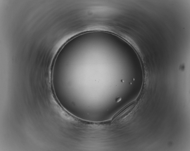 X0000110930996200906251329