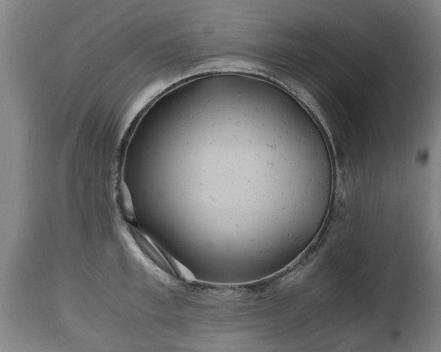 X0000110930997200906251329