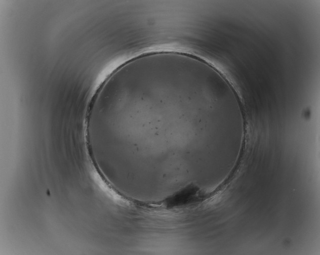 X0000110930998200906251329